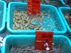 -渔傅·蓝海岸霞浦海鲜(正祥店)