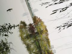 -洋湖国家湿地公园