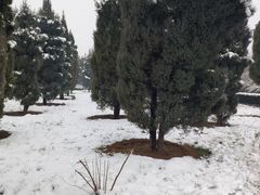 -洛阳古墓博物馆