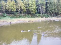 -厦门国家会计学院