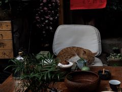 -悟饮门市景店