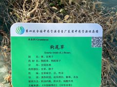 -广东中医药博物馆