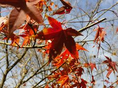 -兴隆文化园景区