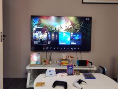 -浣熊部落ps4 ps5 switch 电玩(茶店子店)