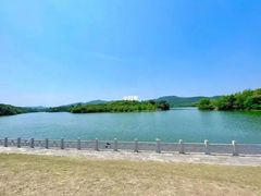 -佛手湖郊野公园