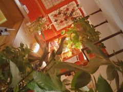 -宏达老菜馆(东安街店)