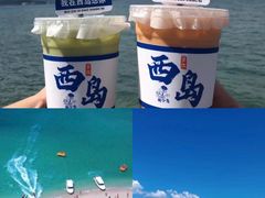 -亚龙湾热带天堂森林公园