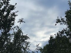 -高群生胡辣汤(亚运村店)
