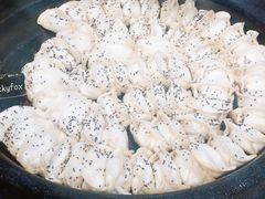 -汪记大王锅贴(成山路店)