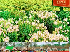 -盈香心动乐园