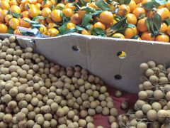 -全而廉(靖宇中路店)