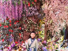 -正佳雨林生态植物园