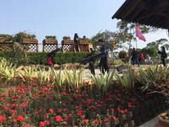 -胡里山炮台