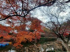 -虞山风景区