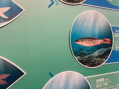 -天津自然博物馆