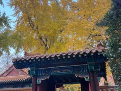 -戏马台景区