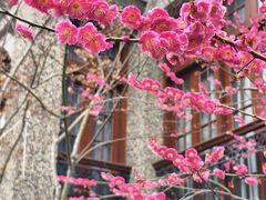 -思南公馆商业街