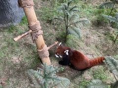 -石家庄市动物园