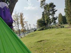 -桤木河湿地公园