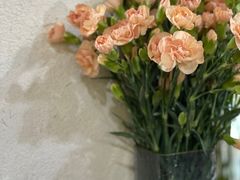 -铁炉咖啡(河下古镇店)