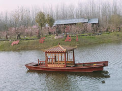 -合肥滨湖国家森林公园