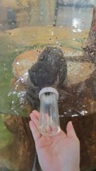 -Zoolung Zoolung动物主题公园(海信广场店)
