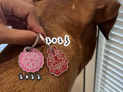 -美迦爱-牙专科·兔科·骨科诊疗中心(北苑店)