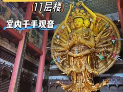 -上海东林寺(金山区)