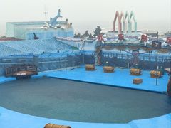 -海合安青岛极地海洋公园