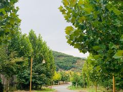 -大连罗马假日酒店温泉