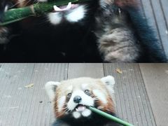 -普洱太阳河森林公园
