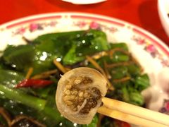 -花莲东大门国际观光夜市