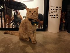 -MIMO CAFE(沙头角店)
