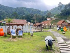 -龙岩森林水乡景区