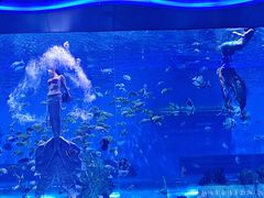-石家庄极地海洋世界