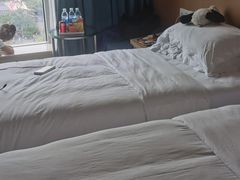 -都江堰中心国际酒店