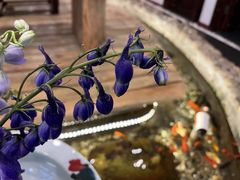 -龙源茶坊(白银路店)