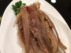 -新南华大酒店(广中店)