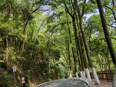 -岳麓山风景名胜区