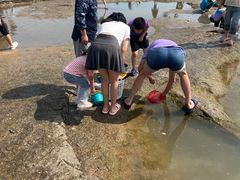 -日照灯塔风景区