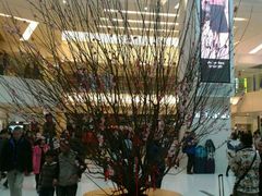 桃花-新城市广场