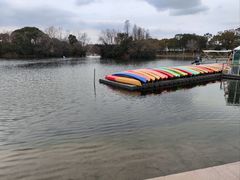 -新江湾城公园