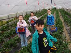 -小鱼草莓采摘园农家乐·小鱼餐厅