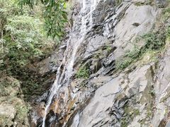 -梧桐山风景名胜区