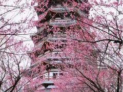 -渌洋湖湿地公园