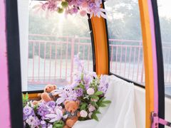 -巨鹏飞梦幻海岸