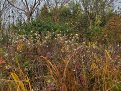 -天津东丽湖风景区