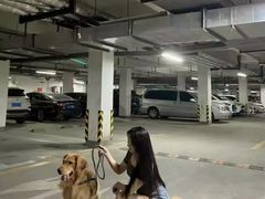 -美联众合动物医院·24h转诊中心
