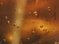 -十六蒲(桂林路店)