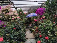 -金科花卉市场